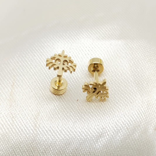 ARETE TOPO ORTOPEDICO