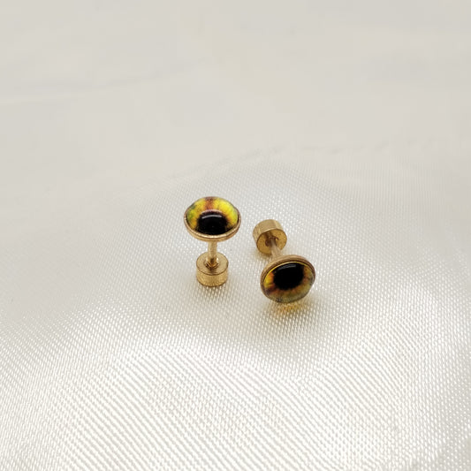 ARETE TOPO ORTOPEDICO