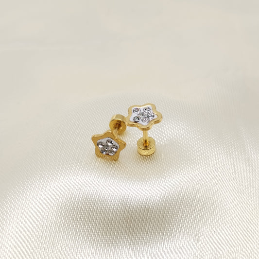 ARETE TOPO ORTOPEDICO