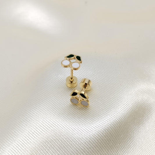 ARETE TOPO ORTOPEDICO